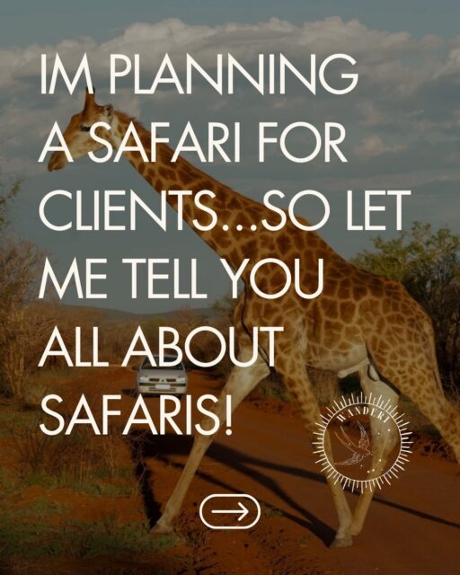 I love sharing about trips I’m currently planning. Not all safaris are the same…but they all deserve a spot on your bucket list!! Swipe through to see what each region is known for, when is the best time to go and the partners I trust! Stick around….there’s a 4th region but I’m keeping it a secret for now. Where is it??? Drop your guess below. I’ll be revealing it in my next post. #luxurytravel #safari #traveladvisor #foratraveladvisor