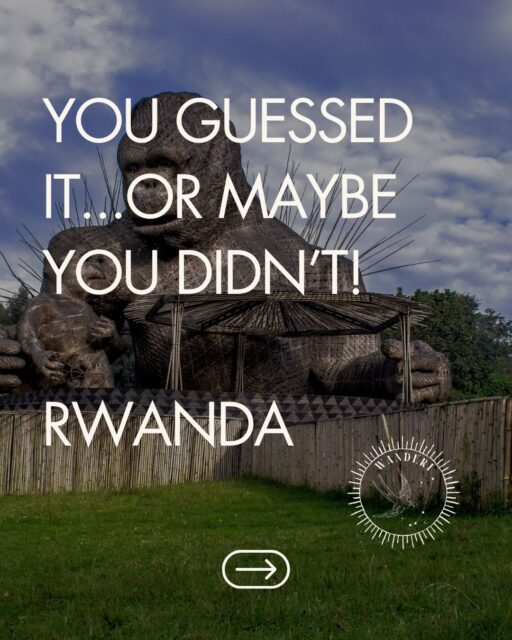 Okay, reveal time. 🦍

The hidden-gem region from my last post? Rwanda!! You all must not have seen Kevin Hart’s special! Most people don’t think “safari” and picture volcanic rainforest and mountain gorillas, but this might be the single most emotional wildlife encounter you can book on the continent.

Swipe for when to go and I there’s a tie for my two favorite preferred partners! 

Ready to plan your safari? The best lodges book out 12-18 months in advance. DM me SAFARI and let’s chat!!
👇#luxurysafari #traveladvisor #rwanda